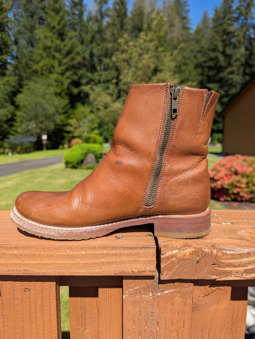 Frye Veronica Inside Zip Caramel 9B Leather Boots Biker - Picture 6 of 10